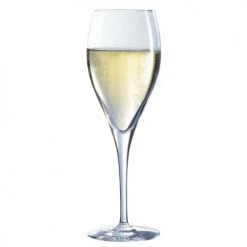 Verres Soldes Boutique -Verres Soldes Boutique flute a champagne 26cl lot de 6 1