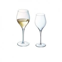 Chef&Sommelier Flutes Et Coupes De Champagne Service De Verres 12 Pièces Transparent
